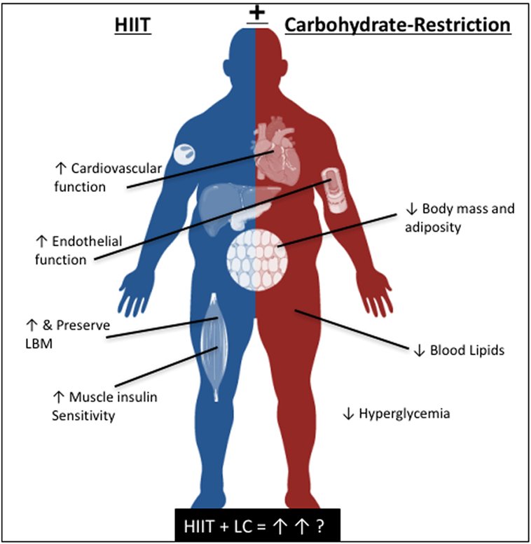 How To Incorporate High-Intensity Interval Training (HIIT) Into A Keto Lifestyle