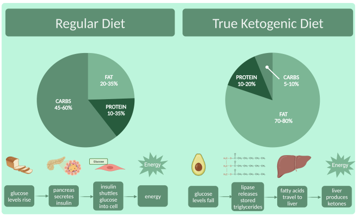 Keto Supplements: What Science Says About Their Effectiveness